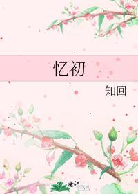 忆初封面