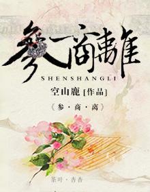 参商离(参商永离,伊怀永伤)封面