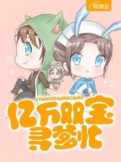 一胎两宝:妈咪跟爹地回家吧时晴厉北浔封面