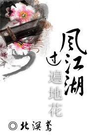 风过江湖遍地花封面
