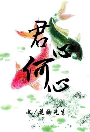 君心何心封面