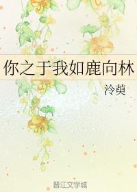 你之于我如鹿向林封面