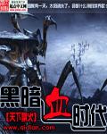 黑暗血时代封面