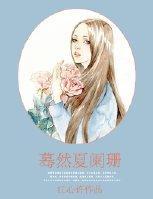蓦然夏阑珊封面