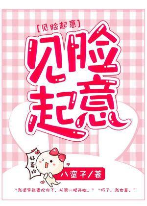 见脸起意封面