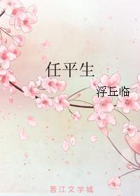任平生封面