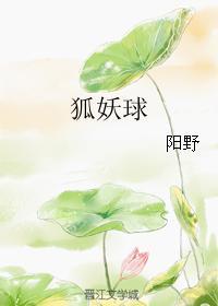狐妖球封面