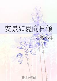 安景如夏向日倾封面
