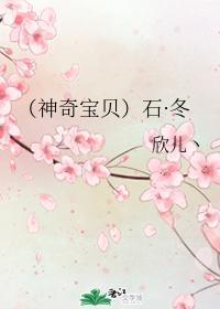 (神奇宝贝)石·冬封面