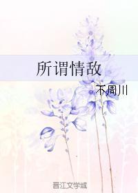 所谓情敌封面