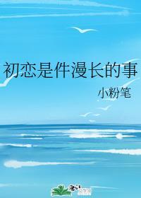 初恋是件漫长的事封面