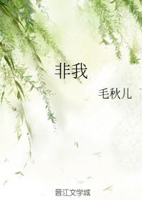 非我封面