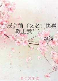 生辰之前封面