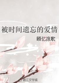被时间遗忘的爱情封面