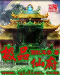 极品仙府封面