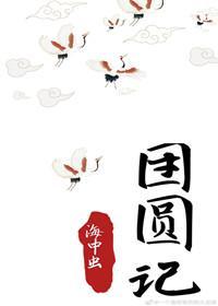 团圆记封面