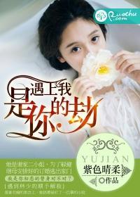 遇上我是你的劫封面