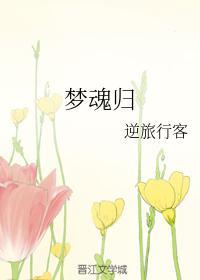 梦魂归封面