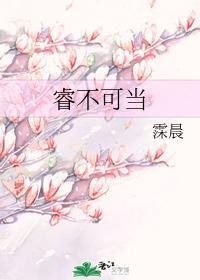 睿不可当封面
