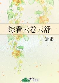 综看云卷云舒封面