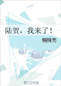 陆贺，我来了！封面