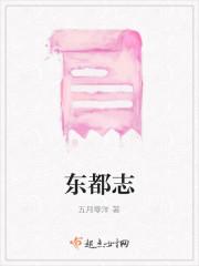 胭脂夫人封面
