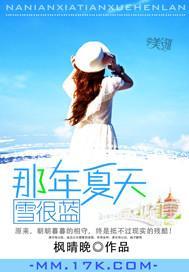 那年夏天雪很蓝封面