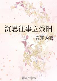 沈思往事立残阳封面