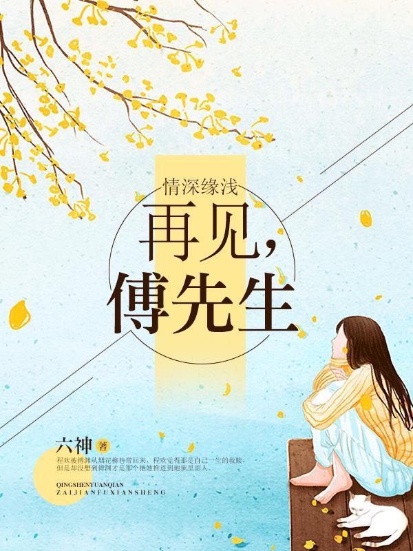 情深缘浅：再见，傅先生封面