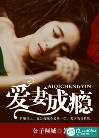 爱妻成瘾封面