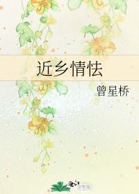 近乡情怯封面