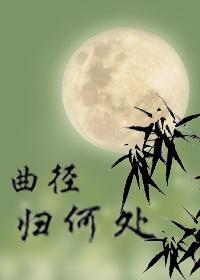 曲径归何处封面