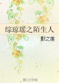 综琼瑶之陌生人封面