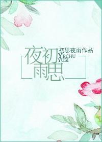 初思夜雨封面