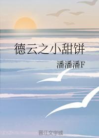德云之小甜饼封面
