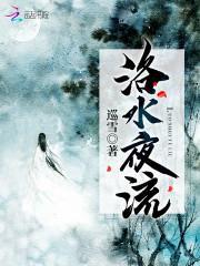 洛水夜流封面
