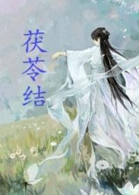 茯苓结封面