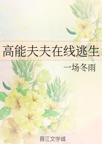 高能夫夫在线逃生封面