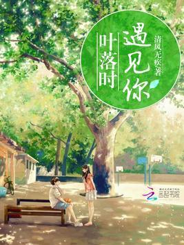叶落时遇见你封面
