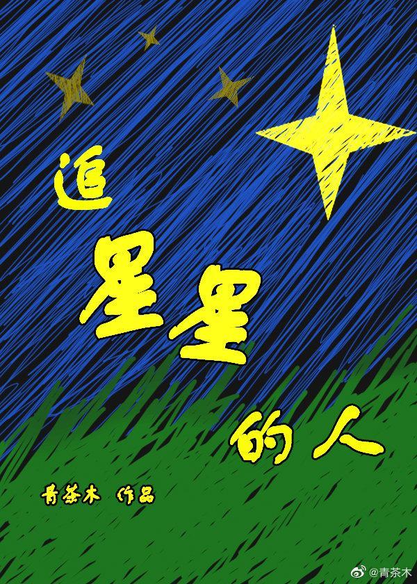 追星星的人[娱乐圈]封面