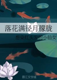 落花满径月朦胧封面