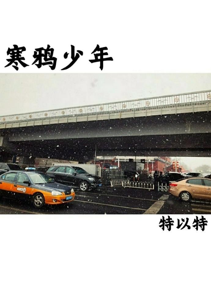 寒鸦少年封面