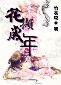 花撷岁年封面