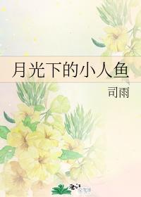 月光下的小人鱼封面
