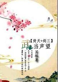武当声望封面