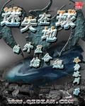 迷失在地球的外星综合舰封面
