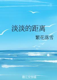 淡淡的距离封面