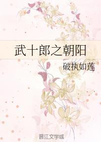 武十郎之朝阳封面