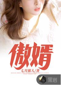 傲婿封面