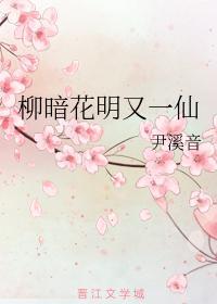 柳暗花明又一仙封面